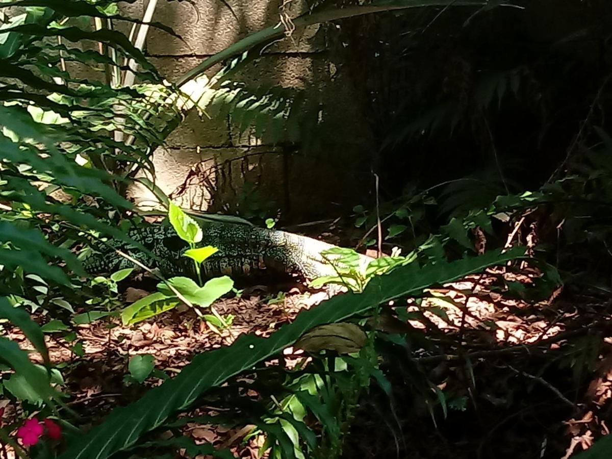 Casa Alquiler En Bombas Bombinhas Villa ภายนอก รูปภาพ